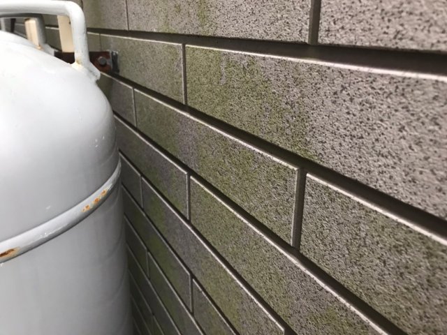 サイディング コケ