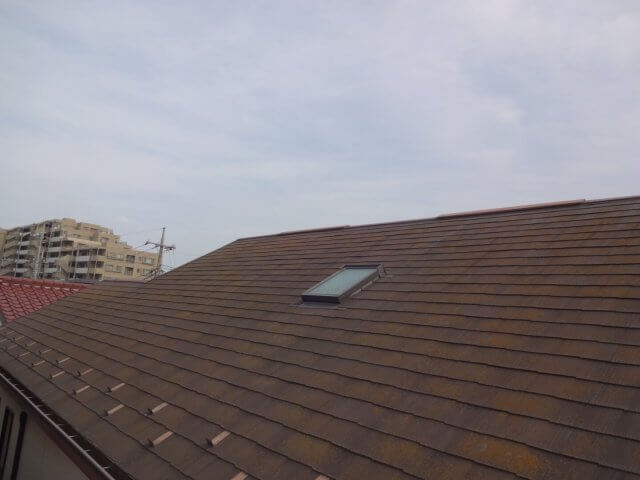 屋根のコケ