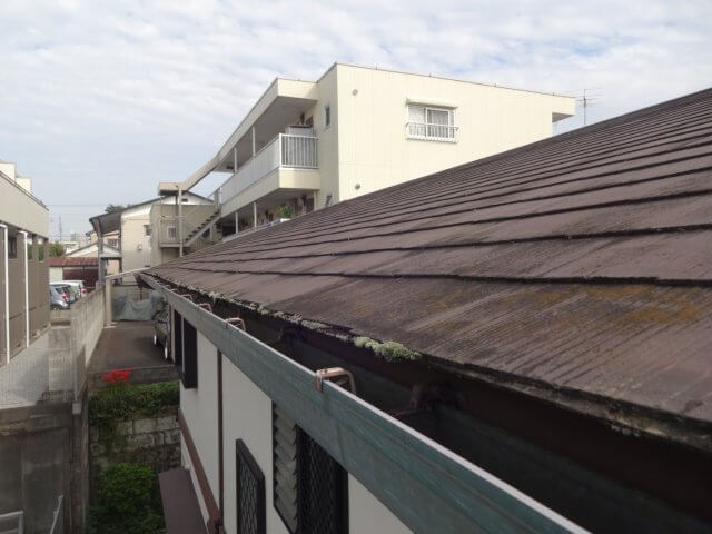 屋根 コケの付着