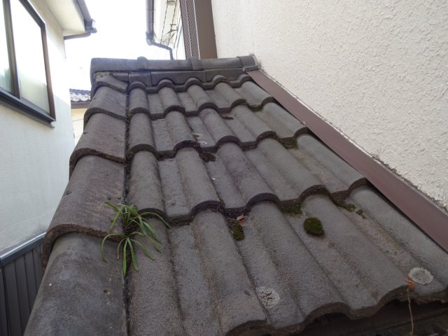 さいたま市桜区 屋根塗装 セメント瓦 コケ・雑草