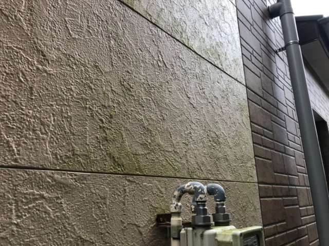 さいたま市 屋根外壁塗装工事 外壁コケの付着 お客様の声 ミヤケン