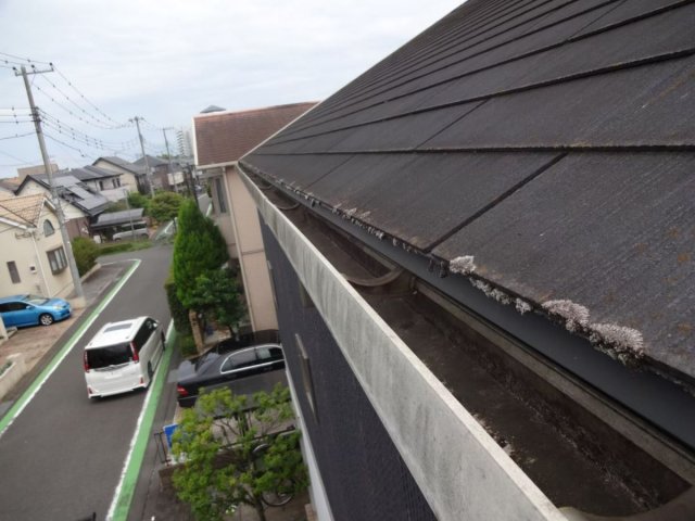 さいたま市見沼区 屋根外壁塗装工事 屋根コケの付着 お客様の声 ミヤケン