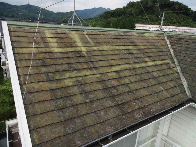 屋根塗装のタイミング 屋根コケの付着 ミヤケン