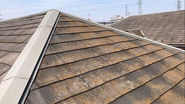 川越市 屋根 コケ ミヤケン