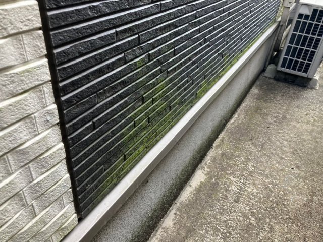 さいたま市桜区 屋根外壁塗装工事 外壁コケの付着 お客様の声 ミヤケン