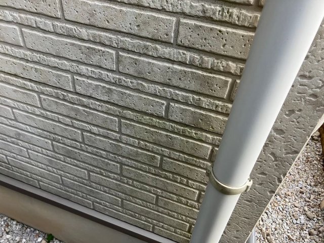 ふじみ野市 外壁 コケ ミヤケン