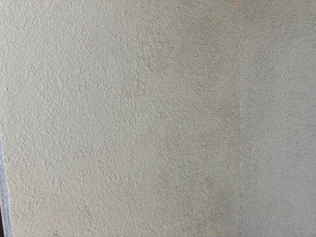 さいたま市南区 外壁 コケ ミヤケン