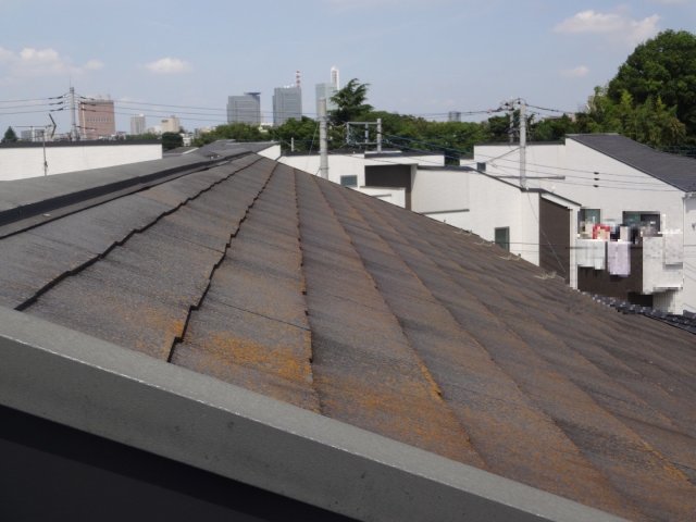 さいたま市浦和区 屋根 コケ ミヤケン