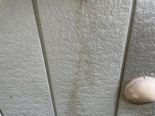 さいたま市北区 外壁 コケ ミヤケン