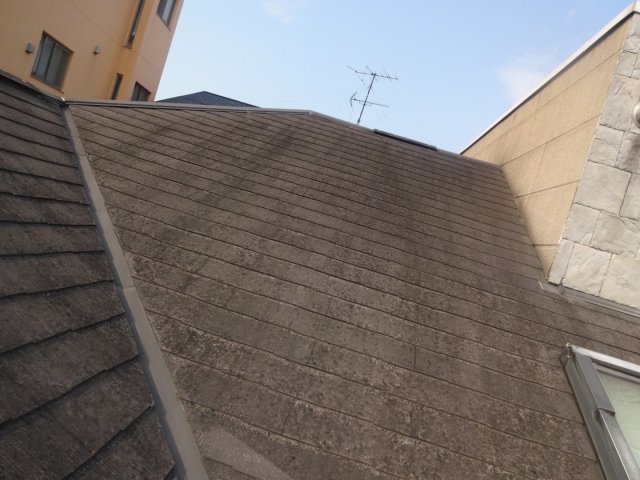 さいたま市浦和区 屋根 コケ ミヤケン