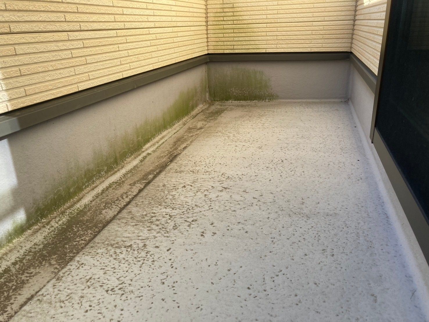 北本市 外壁塗装 ベランダ コケ ミヤケン