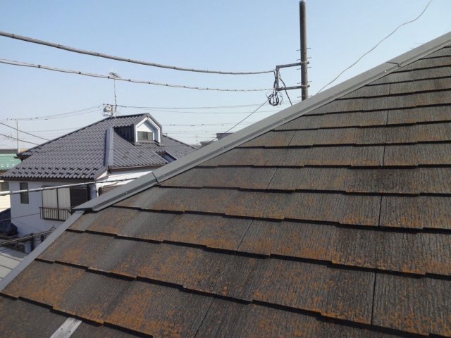 ふじみ野市新駒林 外壁塗装 屋根 コケ ミヤケン