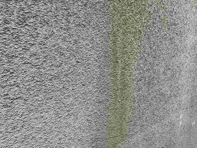 防水性が切れて発生したカビや藻