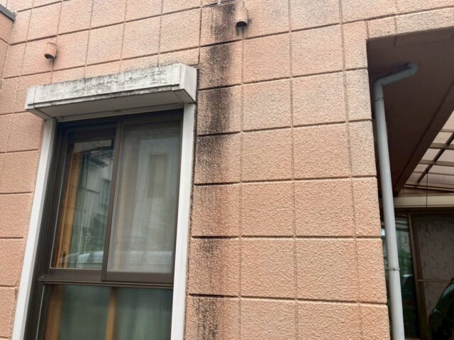 LINE_ALBUM_橋本様_250802_5